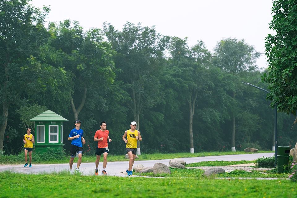 Mục kích đường chạy marathon Hoa vàng trên cỏ xanh Ecopark